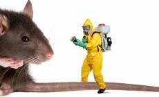 Central Pest Control