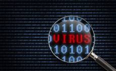 Virus & Malware removal