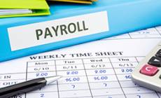 Payroll Agency Longfield